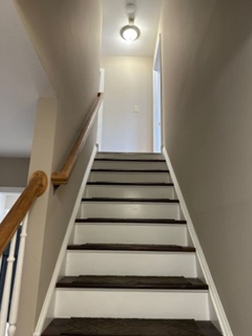 Chester Springs House: 405 Holly Tree Court