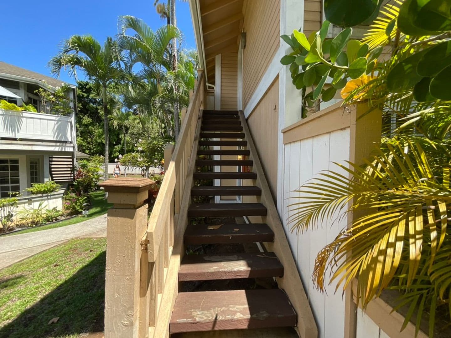 Honolulu Condo: 625 Mananai Place, 24U