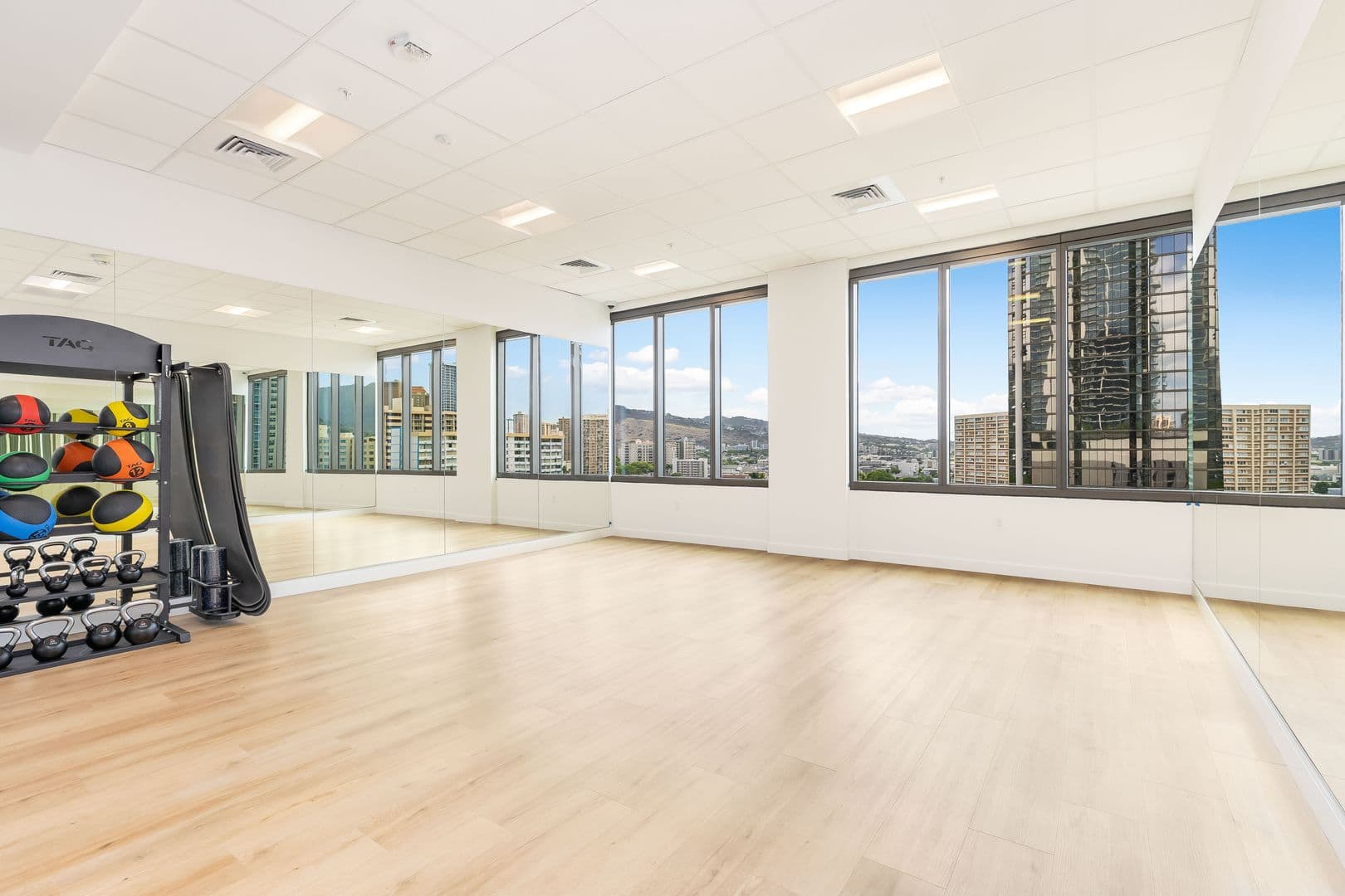 Honolulu Condo: 1515 Liona St #2410