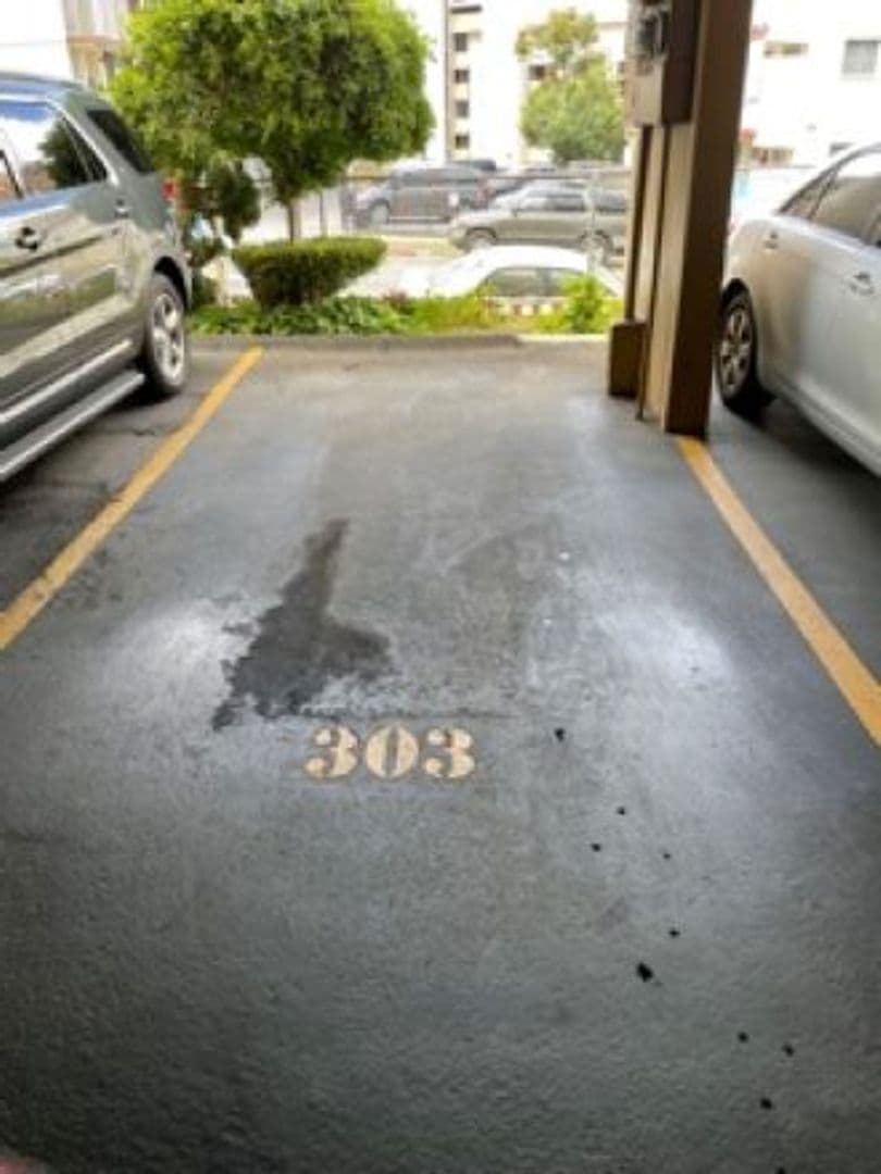 Honolulu Condo: 3003 Ala Napuaa Pl. #303