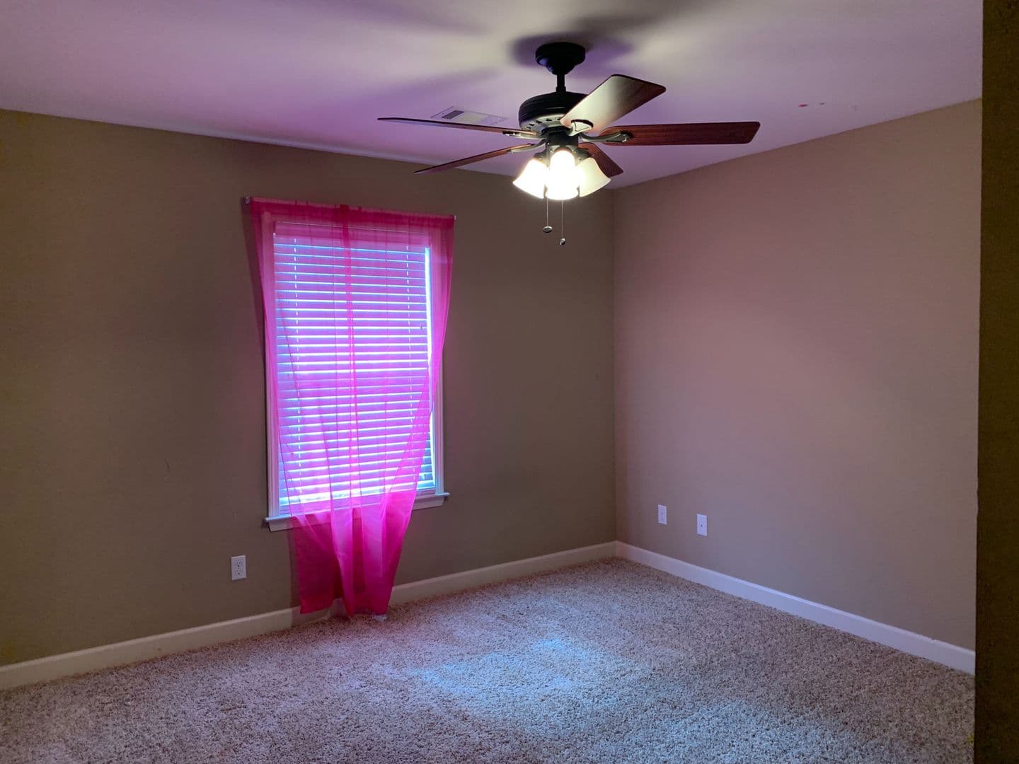 Jacksonville House: 1001 Mesquite Trl