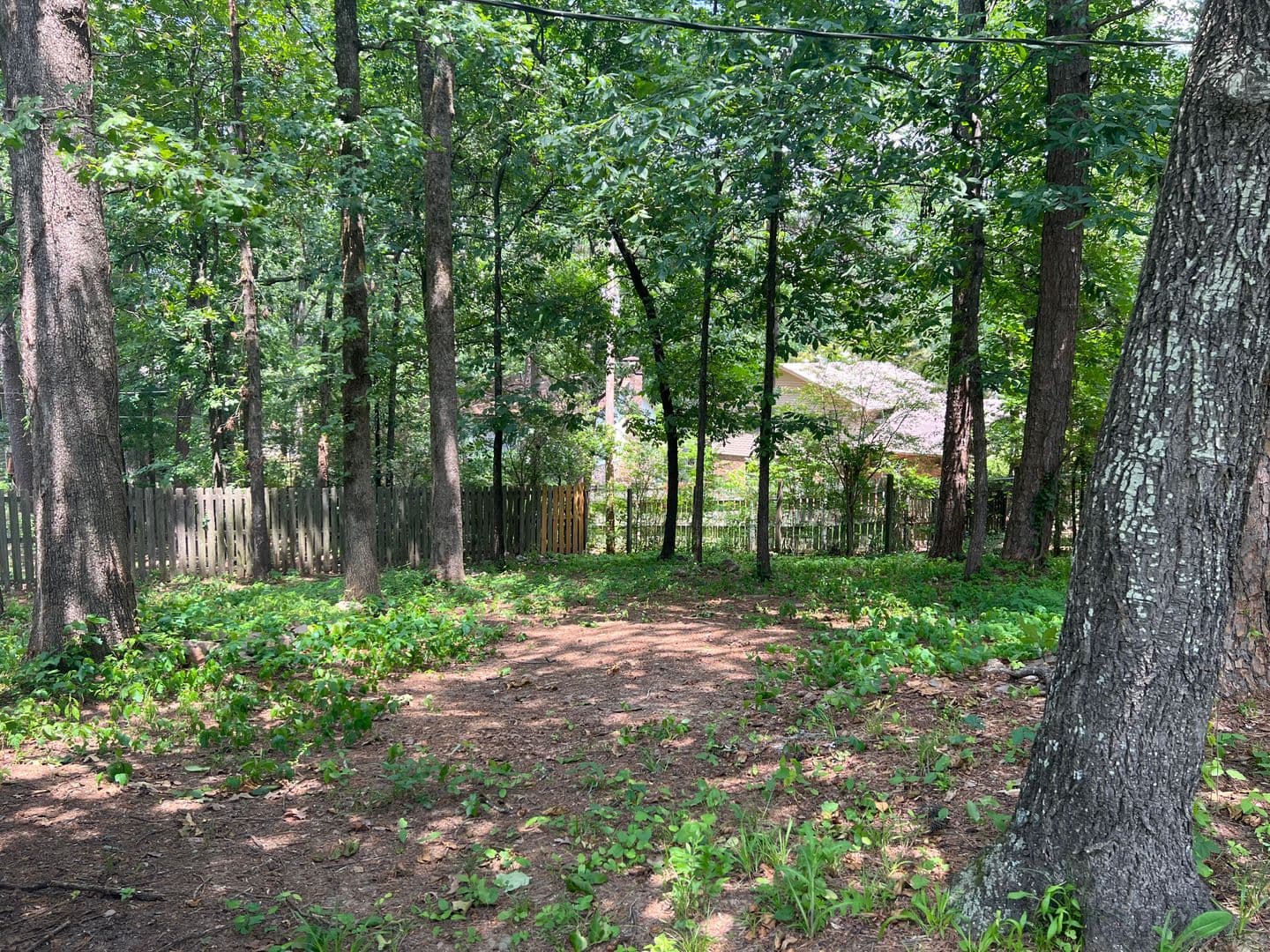 Little Rock House: 11907 Saint Charles Blvd