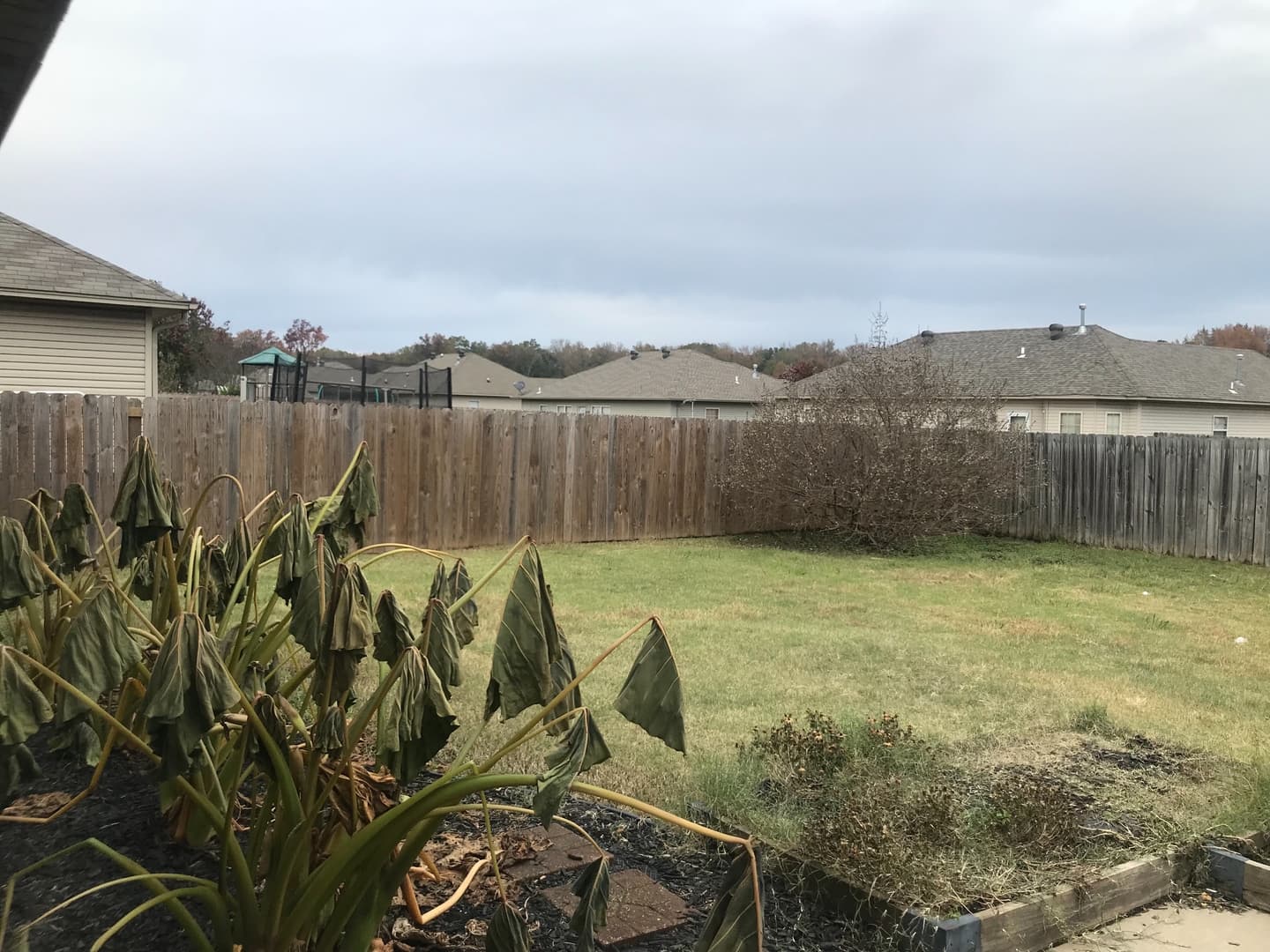 Cabot House: 16 Mustang Dr.