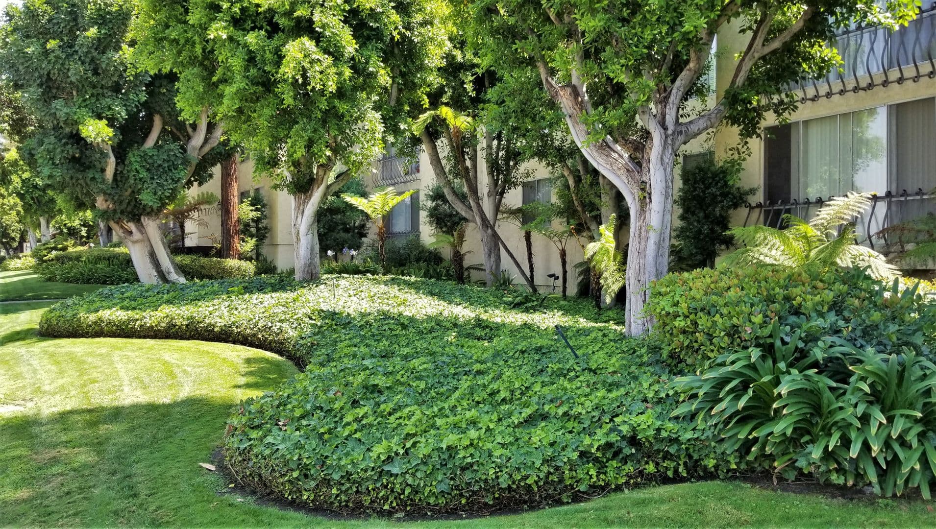 Valley Village House: 12720 Burbank Blvd
