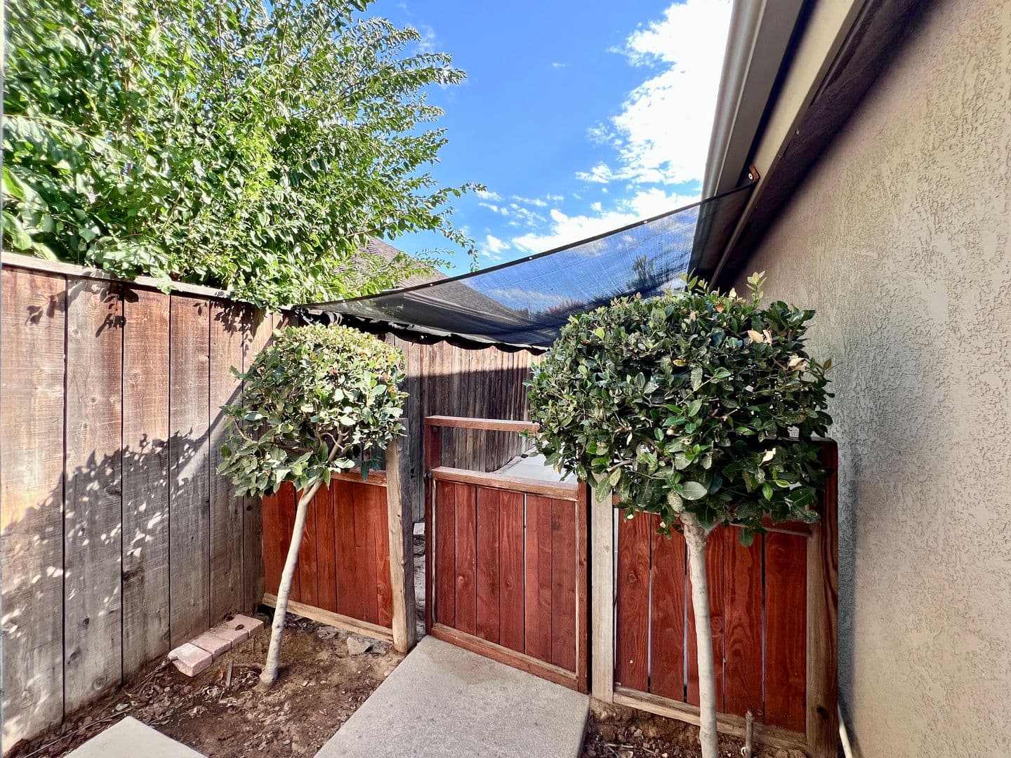 Fresno House: 1090 E. Cole Ave.