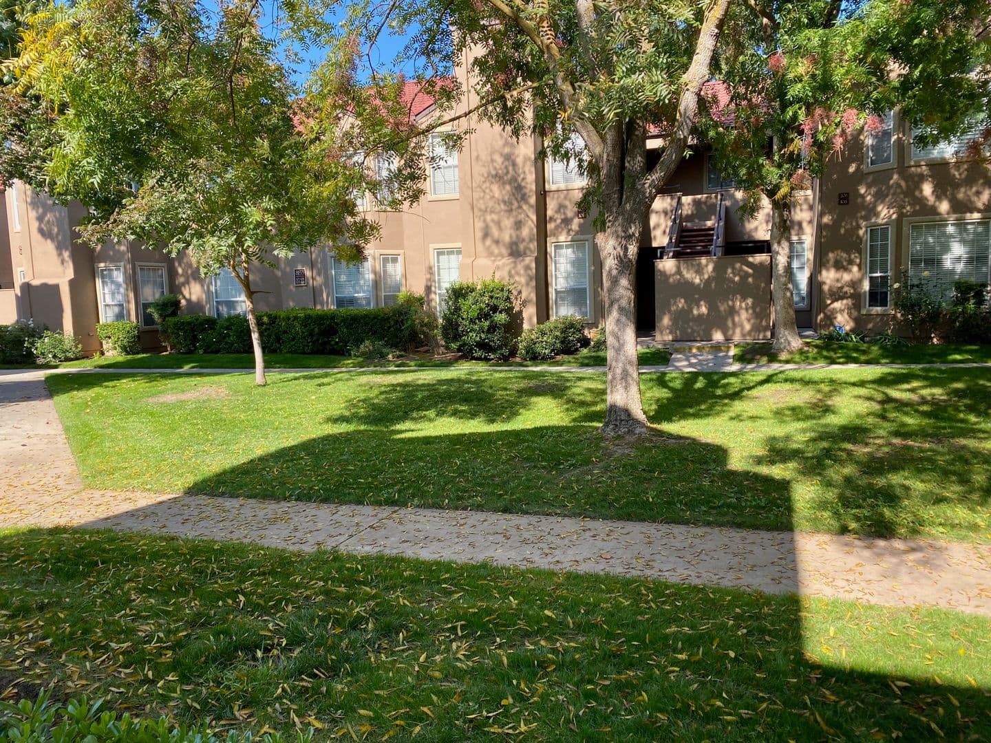 Fresno Condo: 8153 N. Cedar Ave. #114