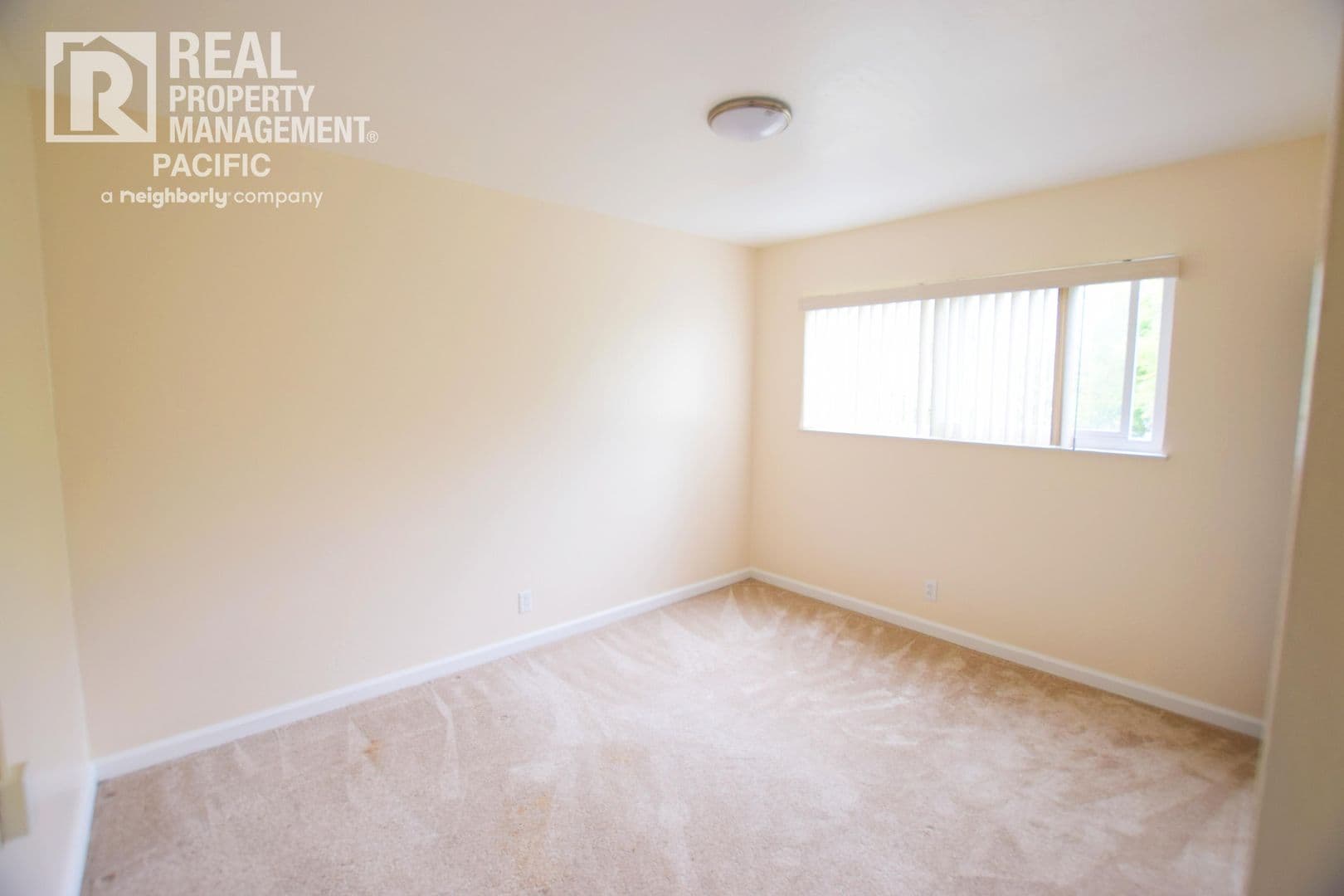 Berkeley Apartment: 2131 Parker Street