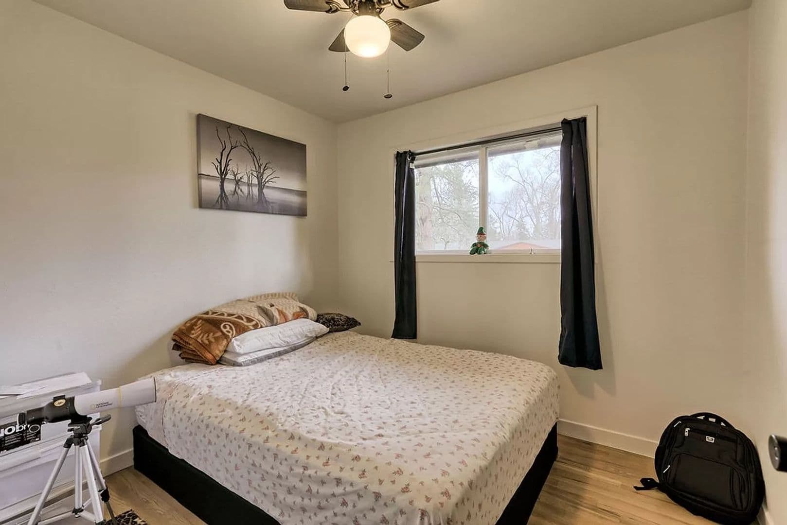 Fort Collins House: 1117 E Pitkin St