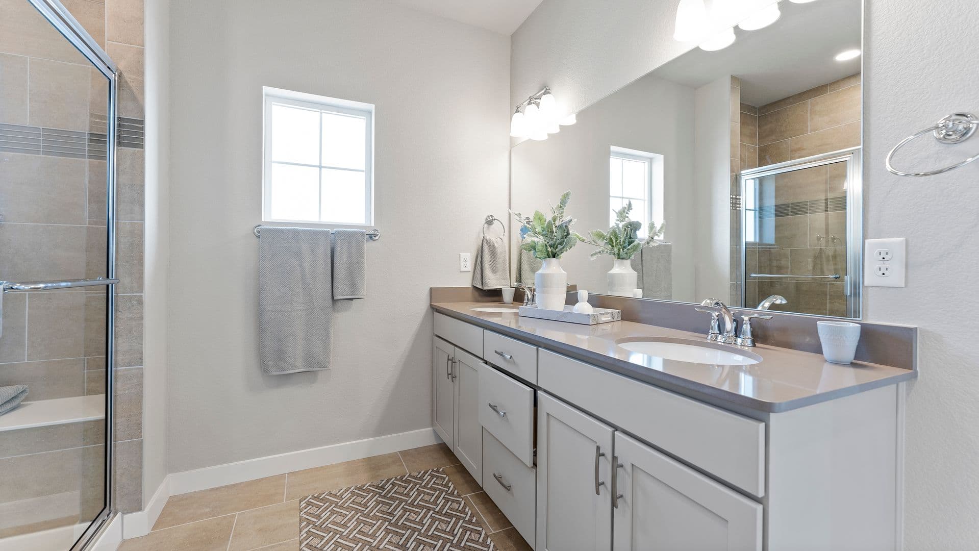 Fort Collins Apartment: 831 Mangold Lane