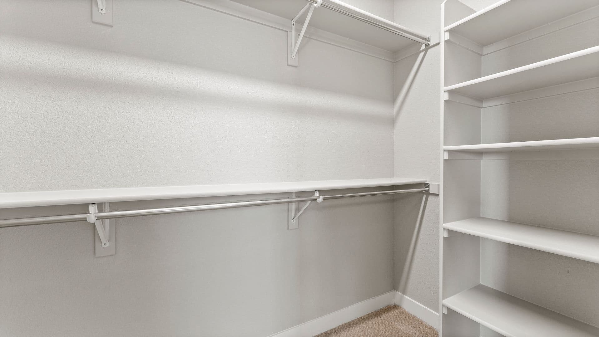 Fort Collins Apartment: 831 Mangold Lane