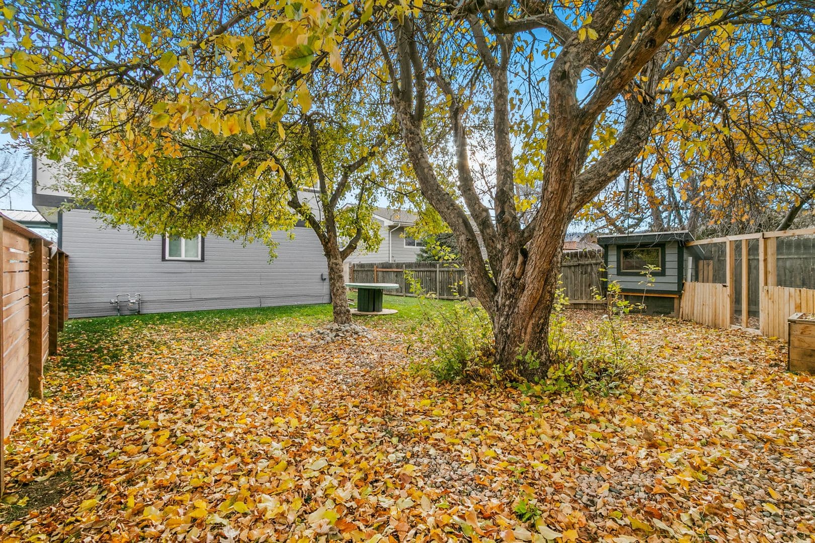 Fort Collins House: 729 Rocky Road