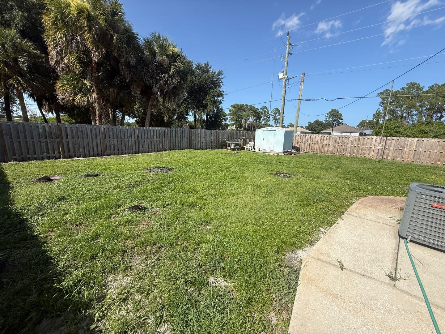 Palm Bay House: 219 Wilton Ave SW