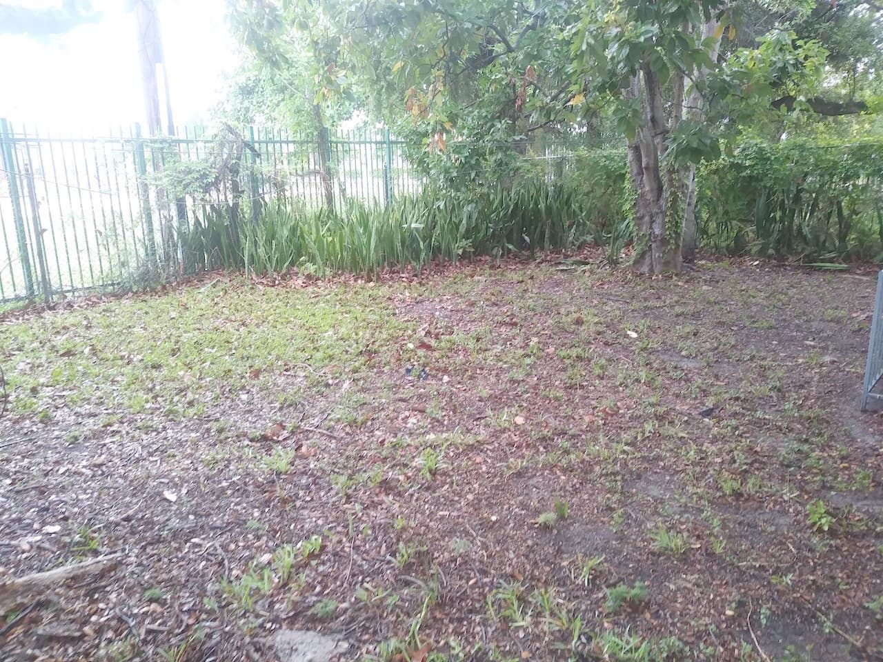 Miami Apartment: 6236 NW 4th Ave