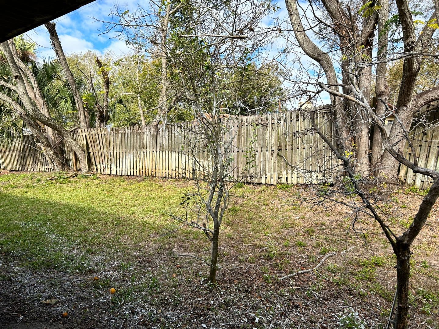 Orlando House: 7007 Hiawassee Overlook Dr.