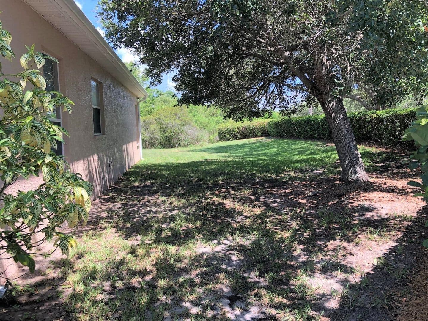Venice House: 4200 Tennyson Way