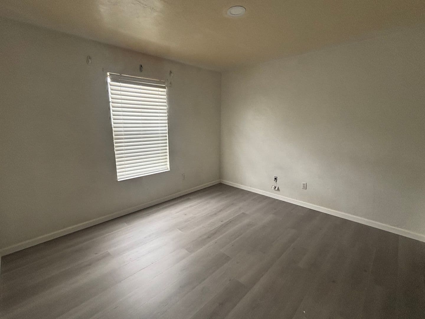 Gainesville Apartment: 2404 SW 31st Pl