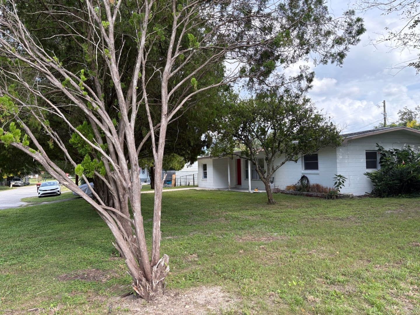 Ocala House: 800 NE 44th Street