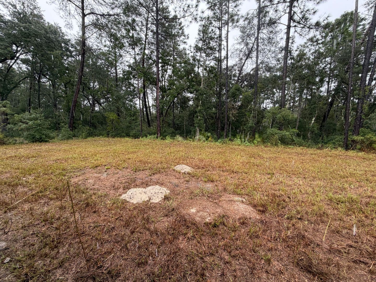 Ocala House: 15153 SW 61st Ct. Rd