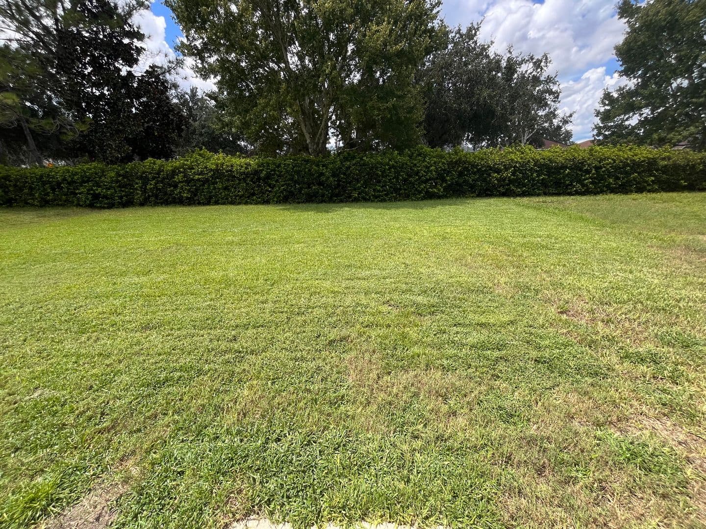 Ocala House: 4146 SW 47th Ct,