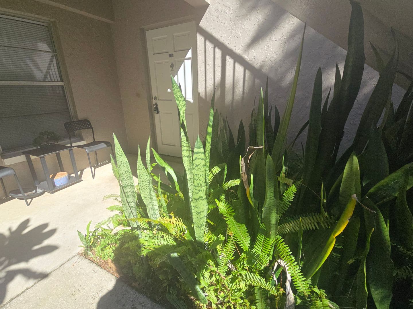 Brandon Condo: 165 Picardy Villa Cir