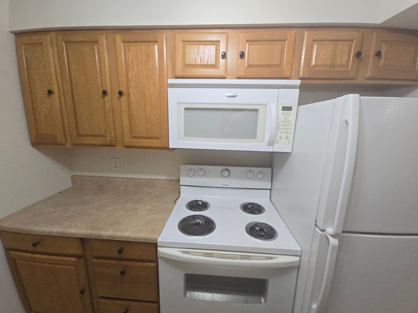 Brandon Condo: 165 Picardy Villa Cir