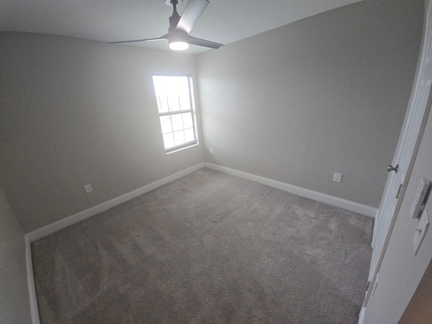 Ruskin House: 927 Culbreath green ct