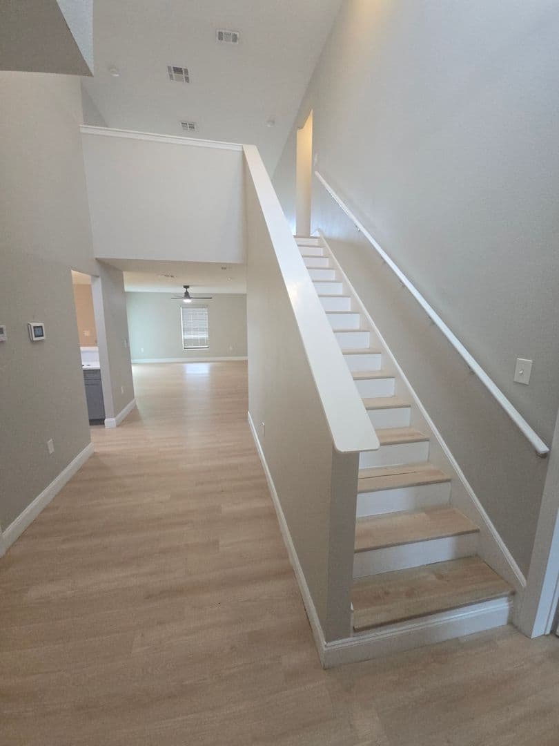Ruskin House: 927 Culbreath green ct