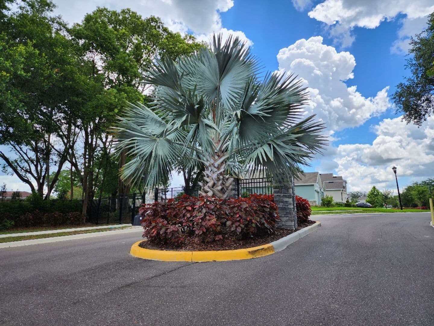 Brandon House: 2448 Knight Island Dr