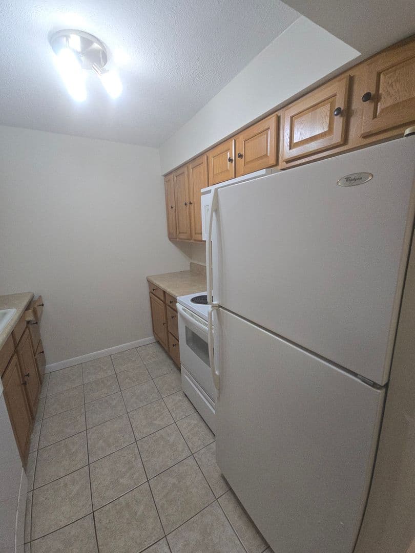 Brandon Condo: 165 Picardy Villa Cir