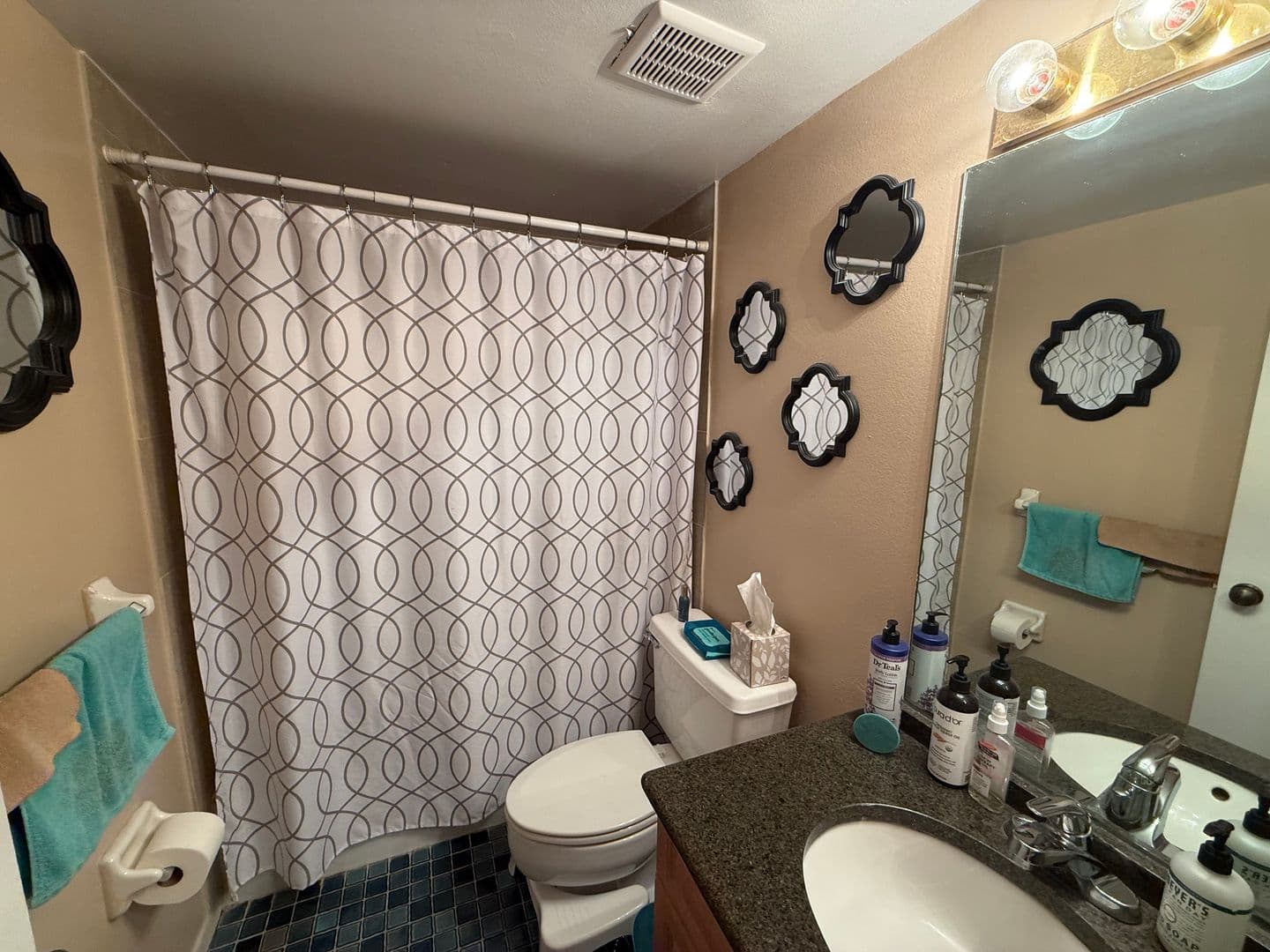 Tampa House: 3701 Champagne Dr