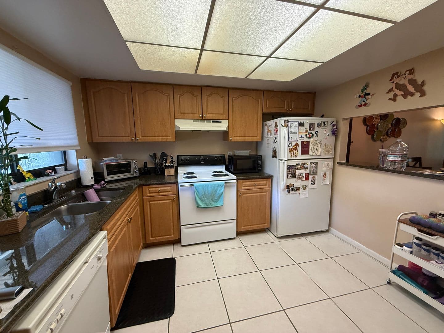 Tampa House: 3701 Champagne Dr