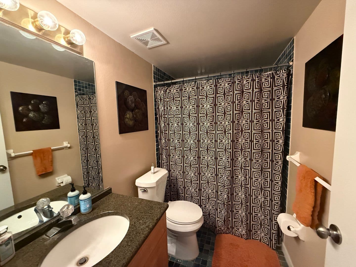 Tampa House: 3701 Champagne Dr