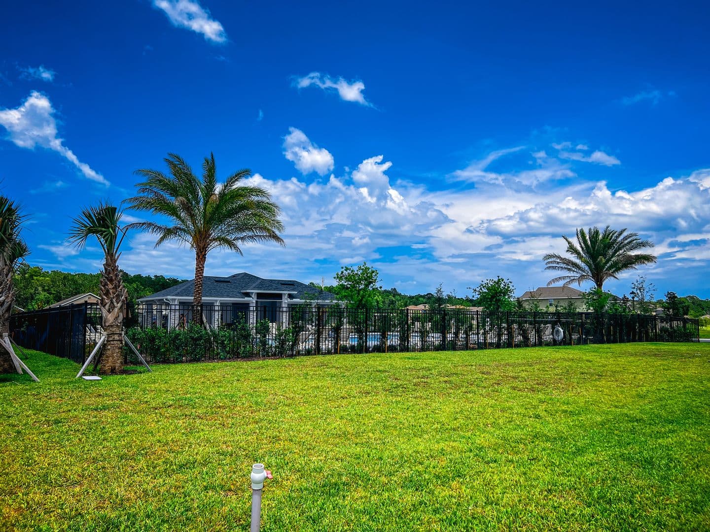 Harmony House: 3669 Sagefield Dr