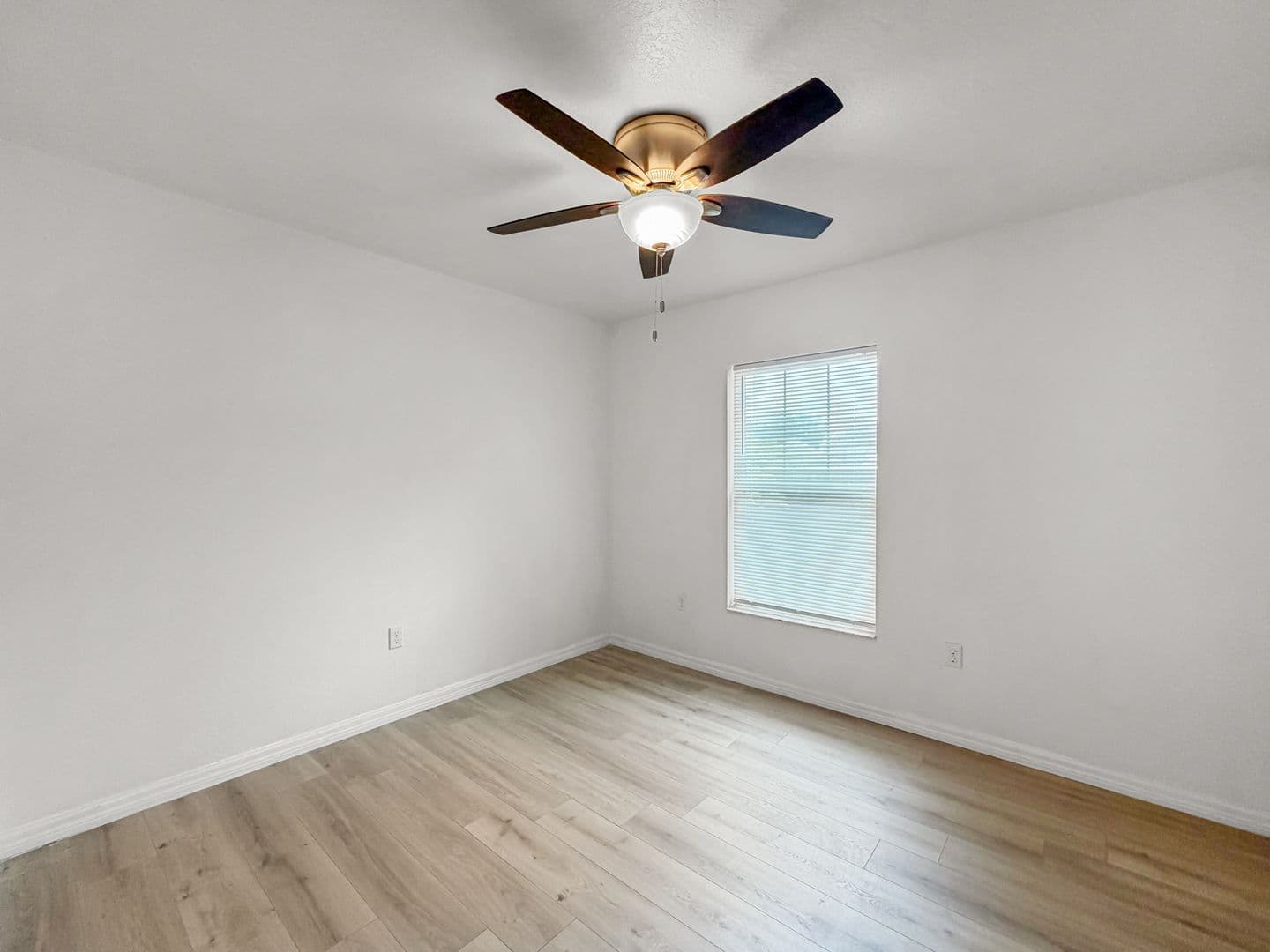 Saint Petersburg House: 1819 48th St S