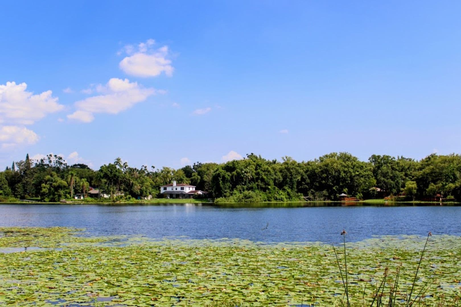 Tampa House: 3012 Justamere ln