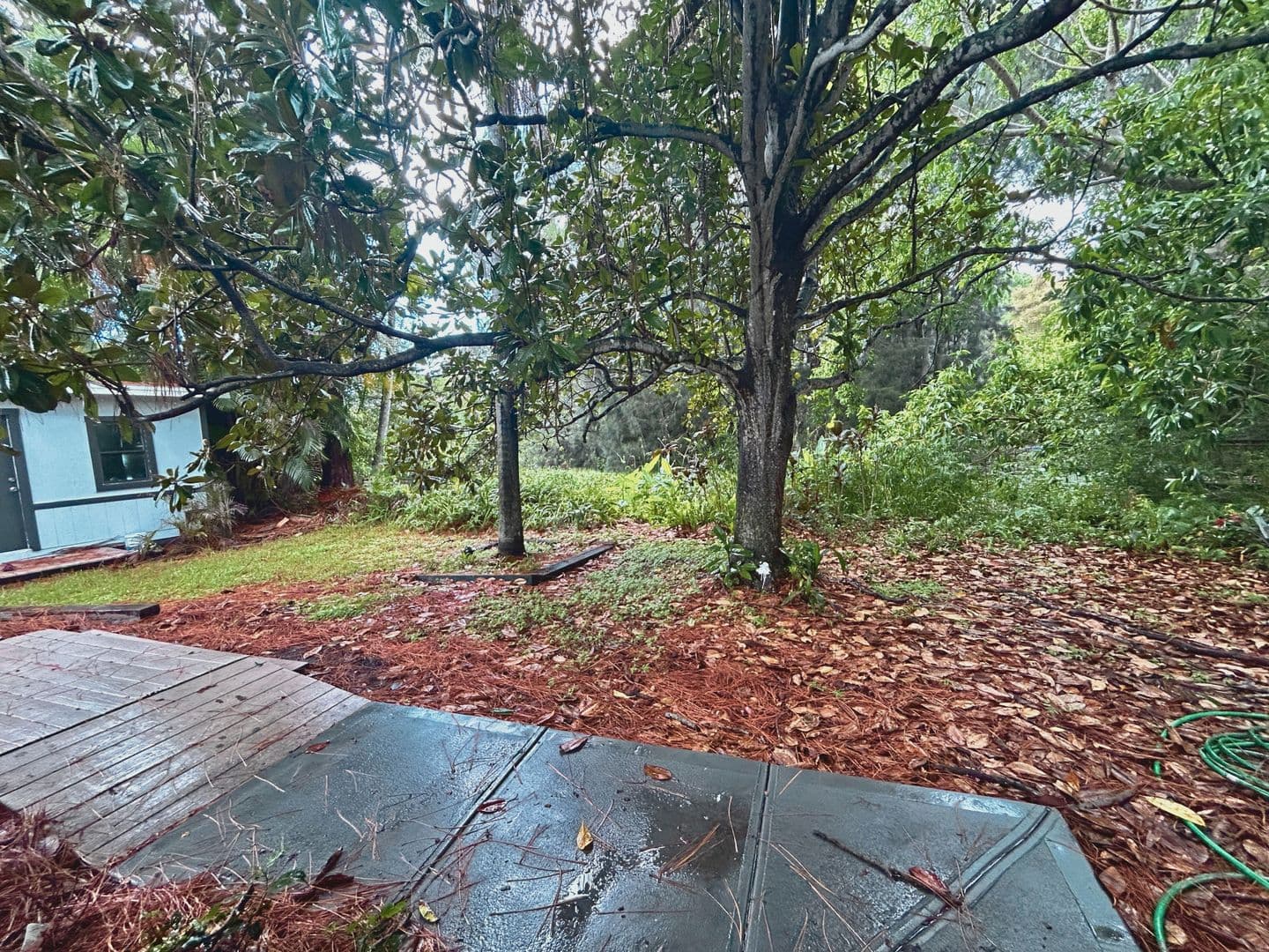 St Petersburg House: 6215 58th Ave N
