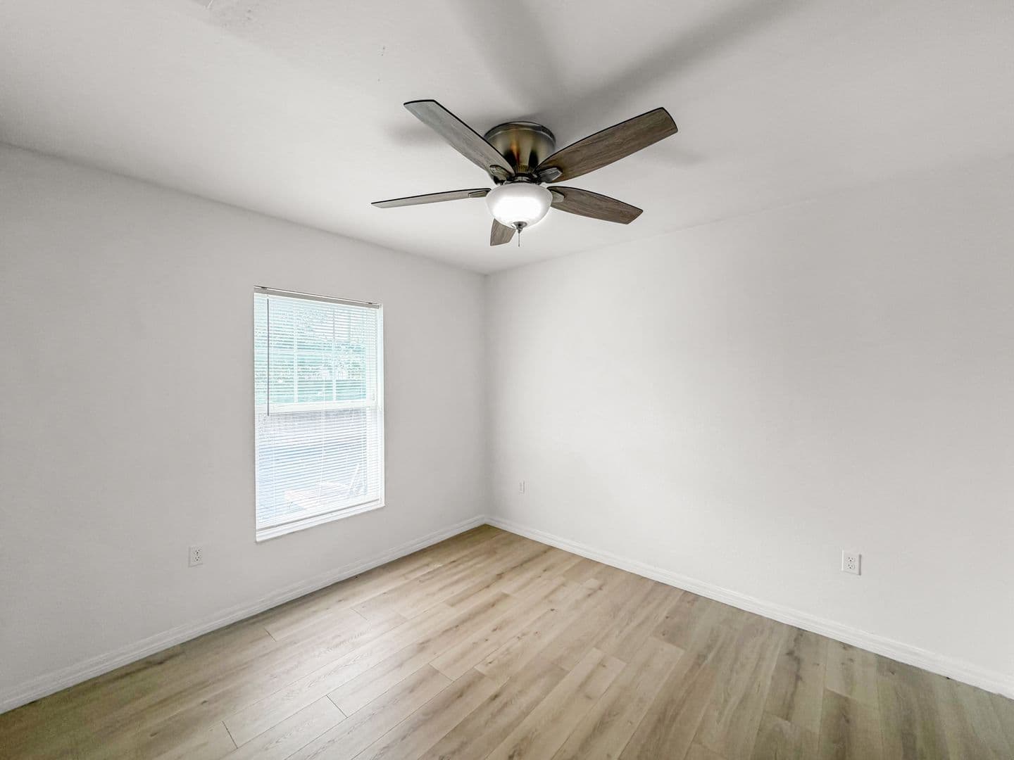 Saint Petersburg House: 1819 48th St S