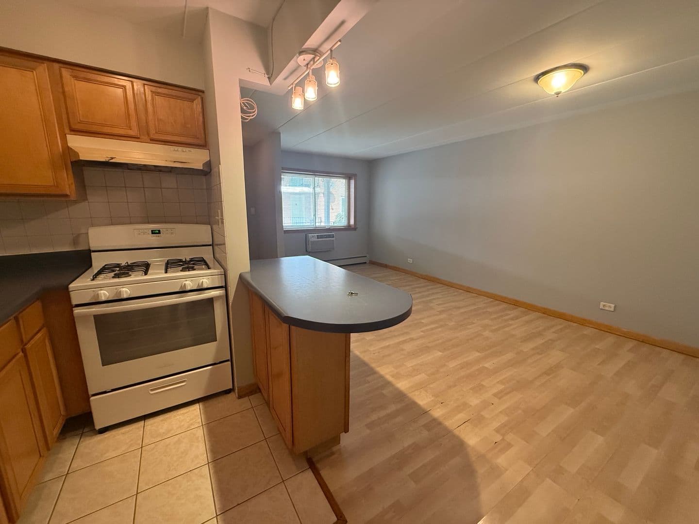 Schiller Park House: 4602 River Rd