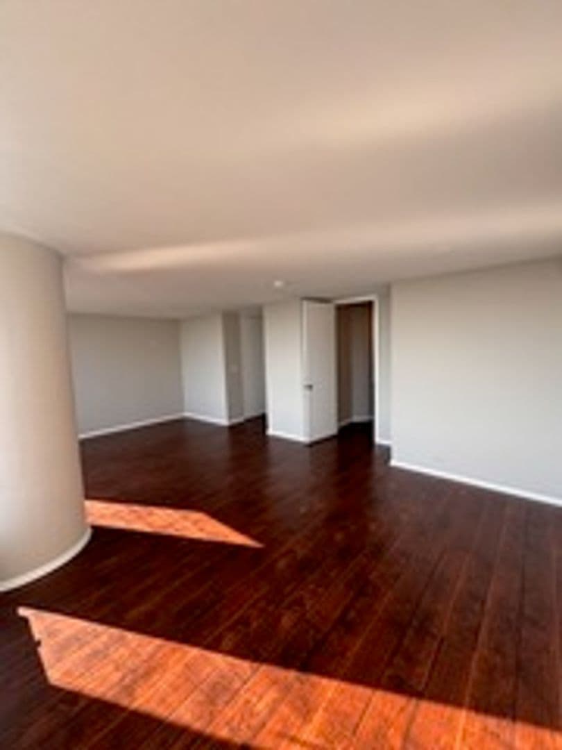 Chicago House: 505 N Lake Shore Dr. 1407-1408