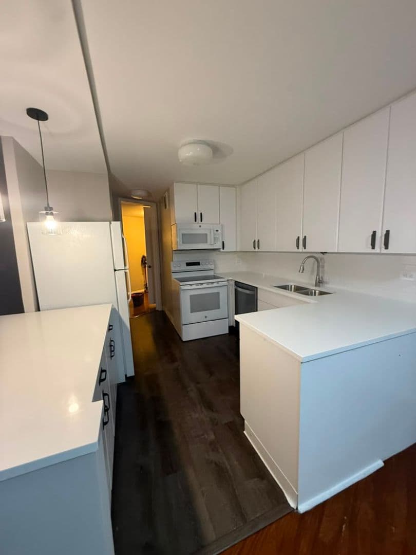Chicago House: 505 N Lake Shore Dr. 1407-1408