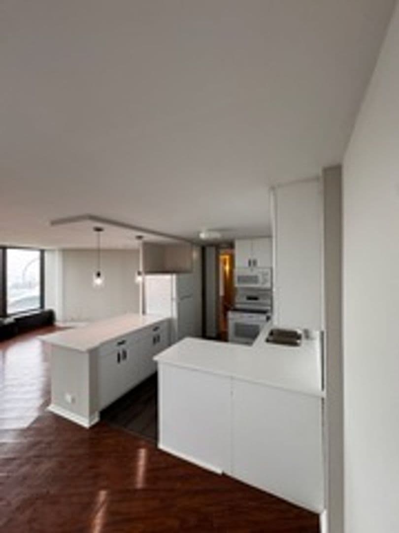 Chicago House: 505 N Lake Shore Dr. 1407-1408