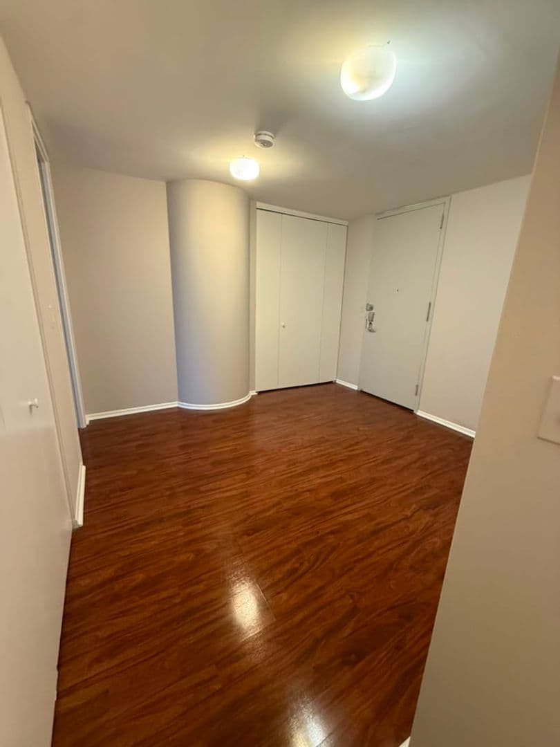 Chicago House: 505 N Lake Shore Dr. 1407-1408