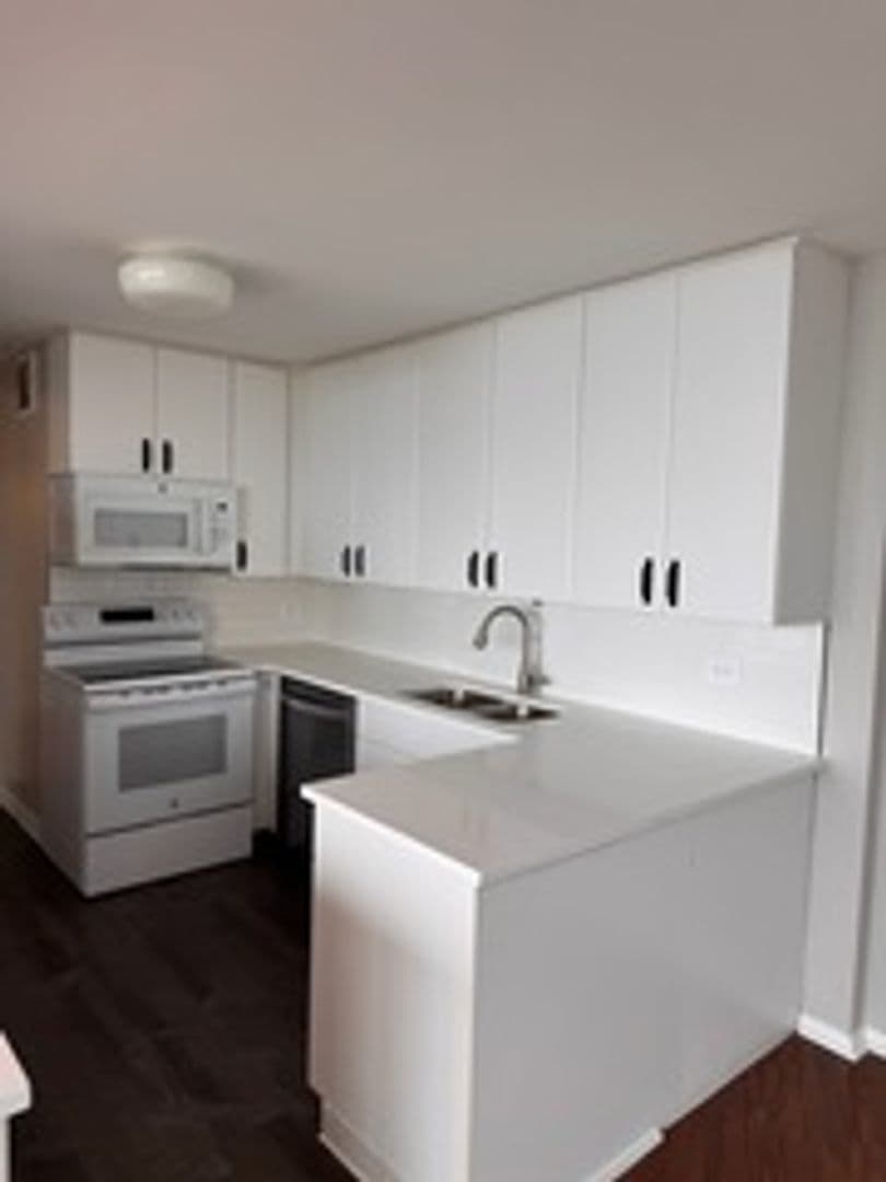 Chicago House: 505 N Lake Shore Dr. 1407-1408