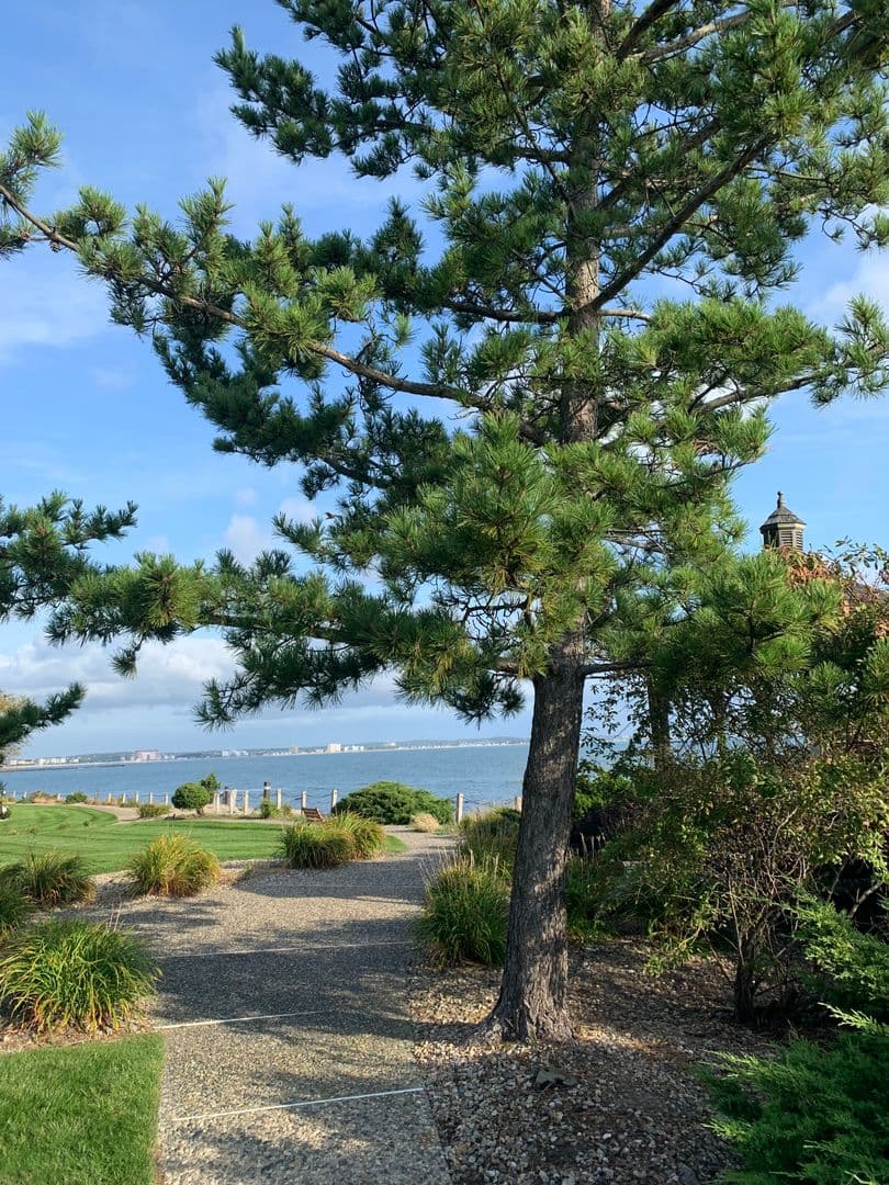 Winthrop Condo: 1 Seal Harbor #413