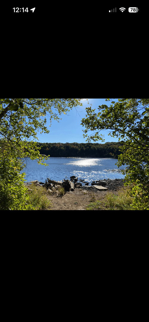Braintree Condo: 47 Bradford Commons Ln Unit 47
