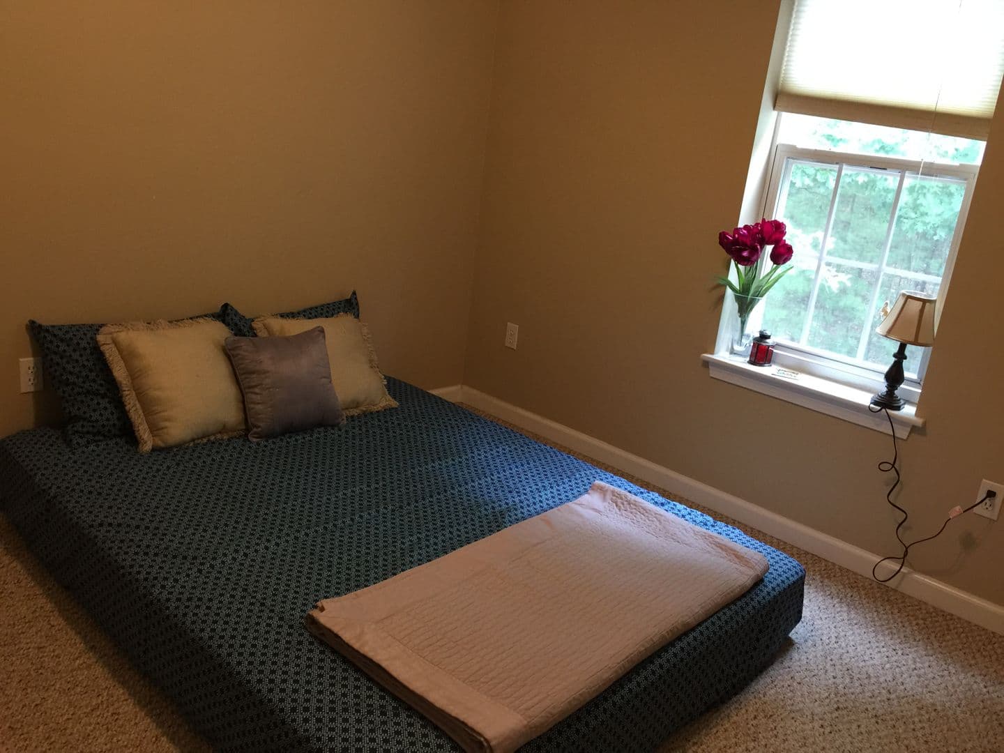 Marlborough House: 37 Violetwood Circle