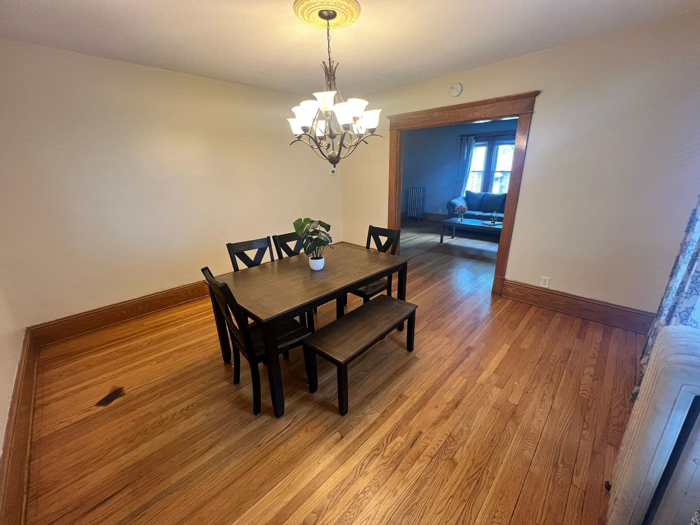Springfield Apartment: 64-66 Knollwood Street