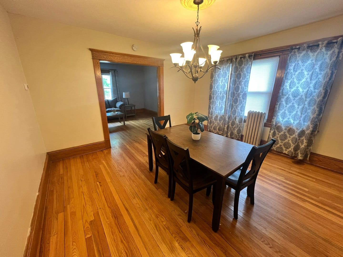 Springfield Apartment: 64-66 Knollwood Street