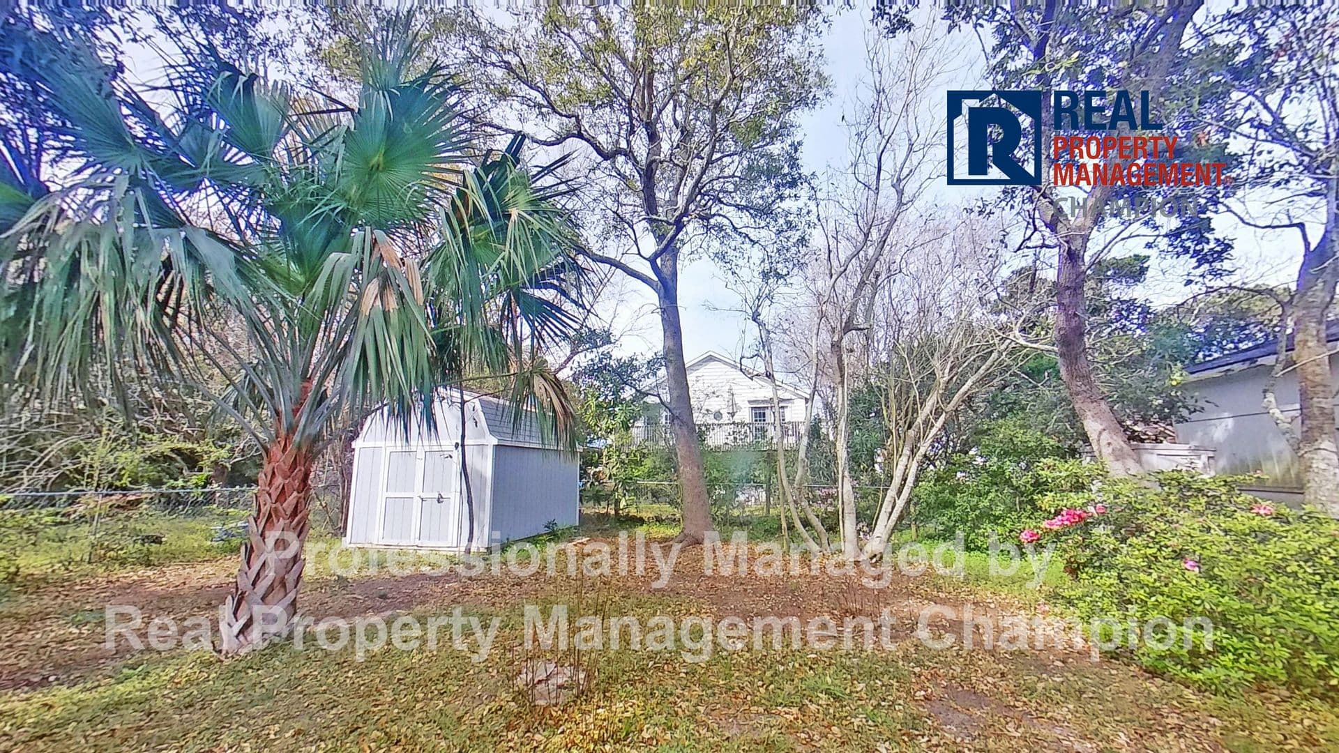 Carolina Beach House: 310 Birmingham Avenue