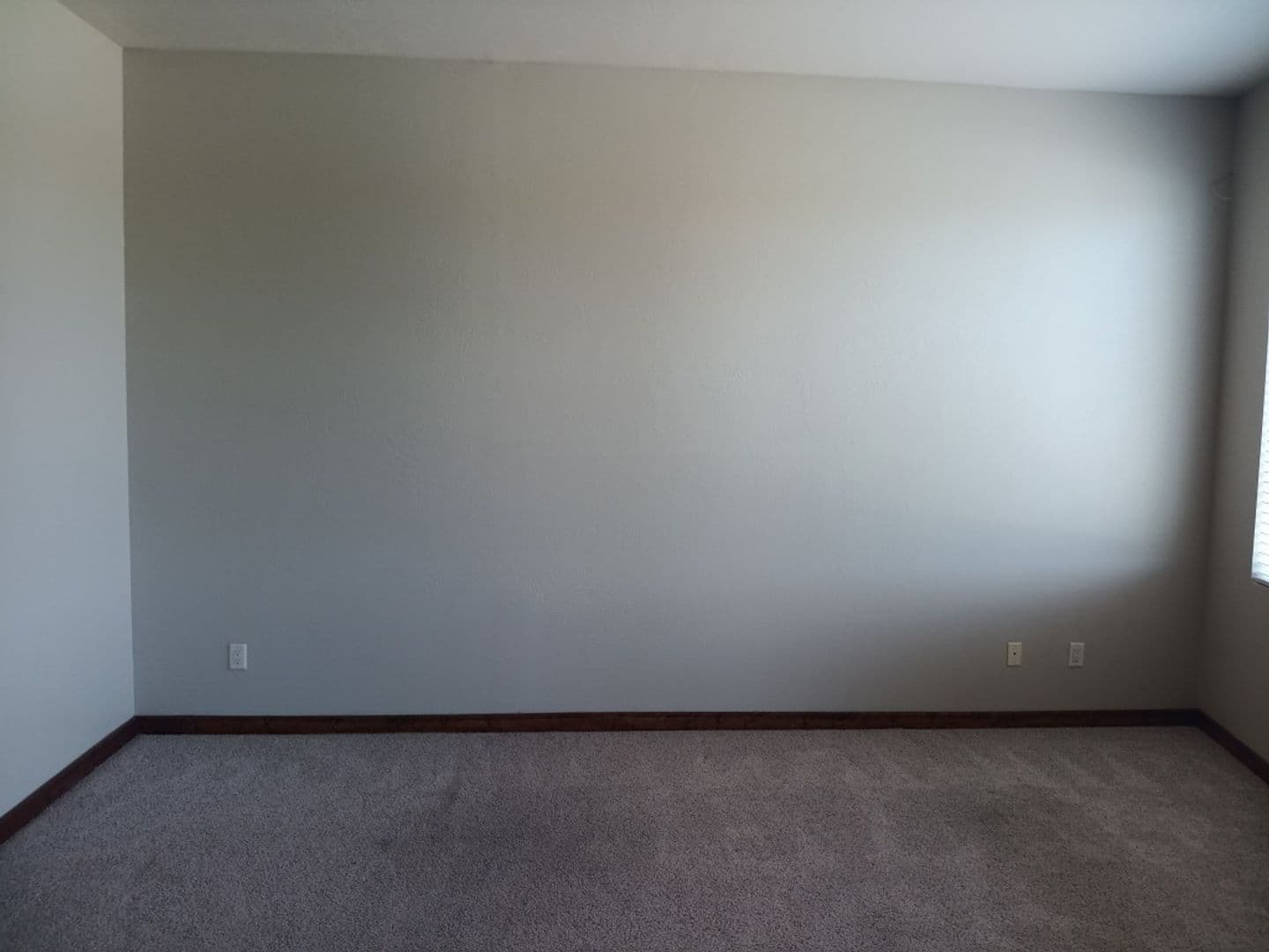 Albuquerque Apartment: 915 Edith Blvd NE